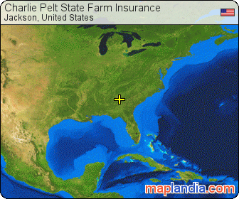 Charlie Pelt State Farm Insurance satellite map