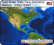 Todd Brown State Farm Insurance satellite map