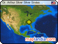 Dr. Arthur Silver Silver Smiles satellite map