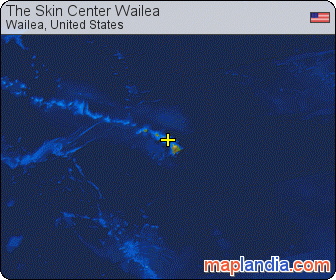 The Skin Center Wailea satellite map