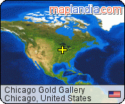 Chicago Gold Gallery satellite map