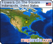 Flowers On The Square satellite map