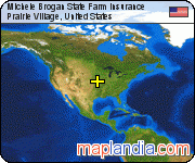 Michele Brogan State Farm Insurance satellite map