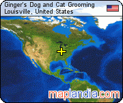 Ginger's Dog and Cat Grooming satellite map