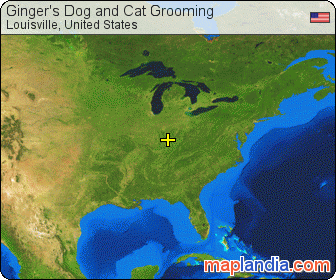 Ginger's Dog and Cat Grooming satellite map