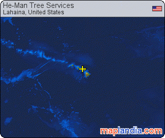 He-Man Tree Services satellite map
