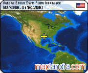Ayneka Bruno State Farm Insurance satellite map