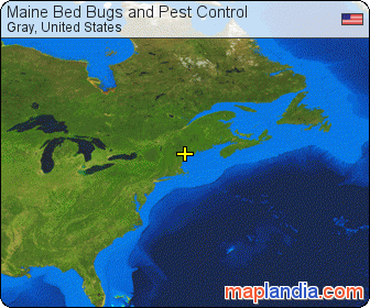 Maine Bed Bugs and Pest Control satellite map