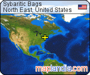 Sybaritic Bags satellite map