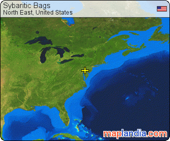 Sybaritic Bags satellite map