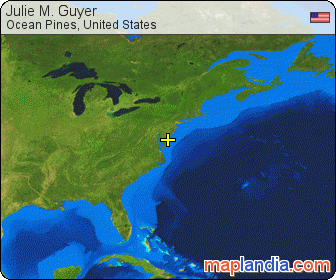 Julie M. Guyer satellite map