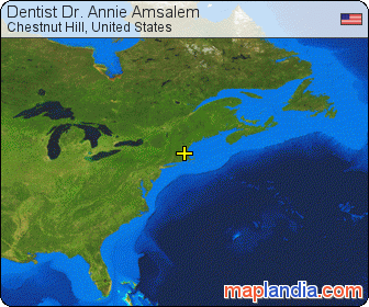 Dentist Dr. Annie Amsalem satellite map