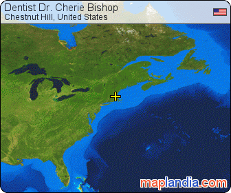 Dentist Dr. Cherie Bishop satellite map