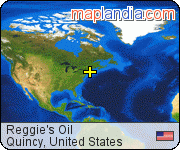 Reggie's Oil satellite map