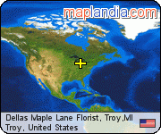 Dellas Maple Lane Florist, Troy,MI satellite map