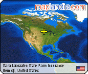 Sara Labraaten State Farm Insurance satellite map