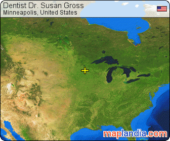Dentist Dr. Susan Gross satellite map