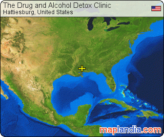 The Drug and Alcohol Detox Clinic satellite map