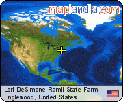 Lori DeSimone Ramil State Farm satellite map