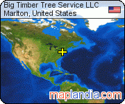 Big Timber Tree Service LLC satellite map