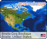 Brielle Dog Boutique satellite map