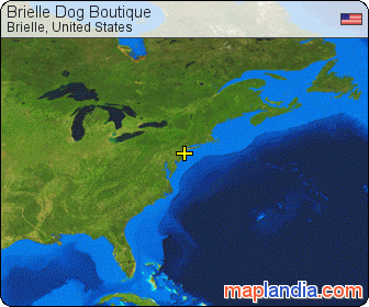 Brielle Dog Boutique satellite map