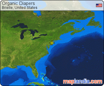 Organic Diapers satellite map