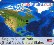 Seguro Nueva York satellite map