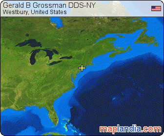 Gerald B Grossman DDS-NY satellite map