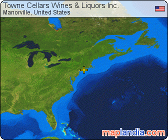 Towne Cellars Wines & Liquors Inc. satellite map