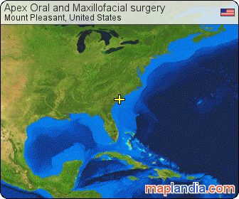 Apex Oral and Maxillofacial surgery satellite map