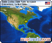 Eddie Collins State Farm Insurance satellite map