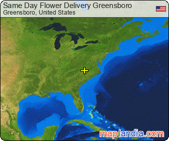 Same Day Flower Delivery Greensboro satellite map