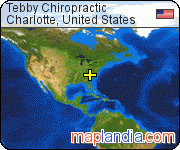 Tebby Chiropractic satellite map