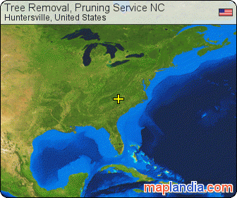 Tree Removal, Pruning Service NC satellite map