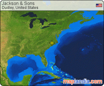 Jackson & Sons satellite map