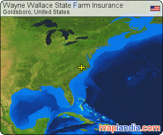 Wayne Wallace State Farm Insurance satellite map