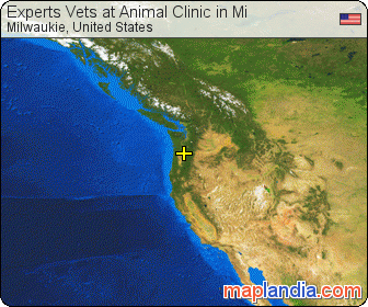 Experts Vets at Animal Clinic in Mi satellite map