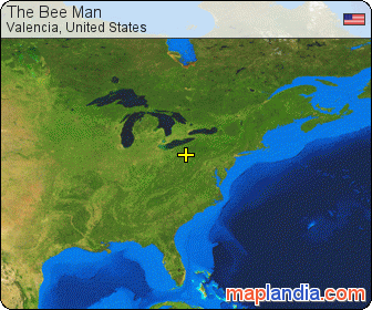 The Bee Man satellite map