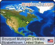 Bouquet Mulligan DeMaio satellite map