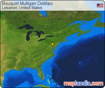 Bouquet Mulligan DeMaio satellite map