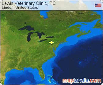 Lewis Veterinary Clinic, PC satellite map