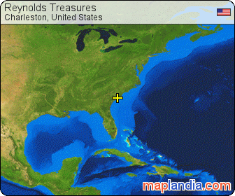 Reynolds Treasures satellite map