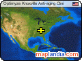 Optimyze Knoxville Anti-aging Clini satellite map