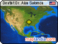 Dentist Dr. Alan Salomon satellite map