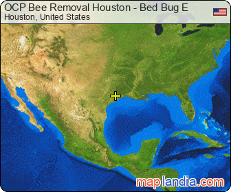 OCP Bee Removal Houston - Bed Bug E satellite map