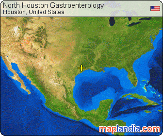 North Houston Gastroenterology  satellite map