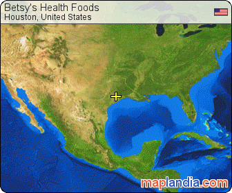 Betsy's Health Foods satellite map