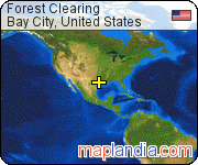 Forest Clearing satellite map