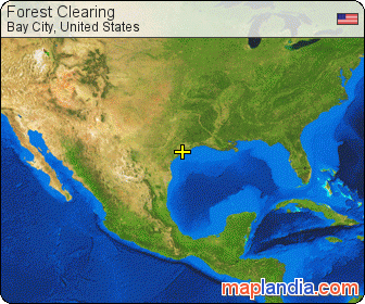 Forest Clearing satellite map